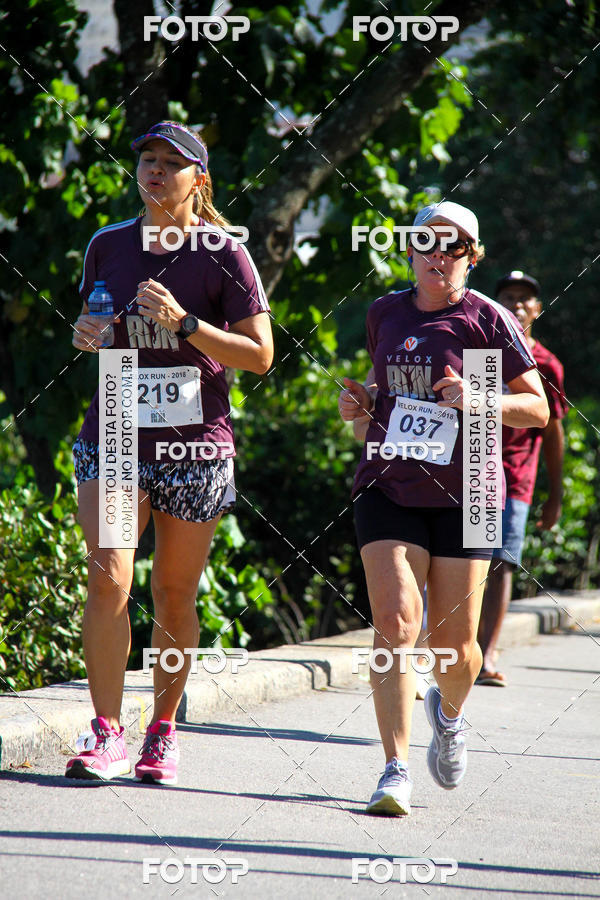 Buy your photos of the eventVelox Run on Fotop