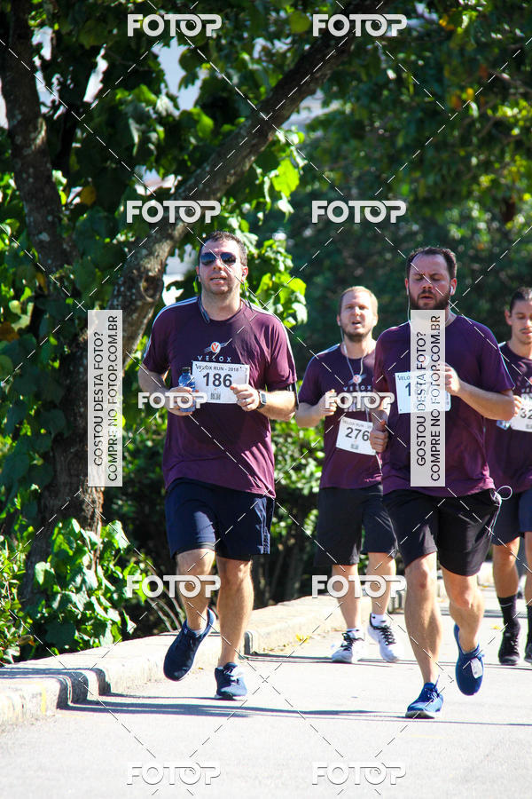 Buy your photos of the eventVelox Run on Fotop
