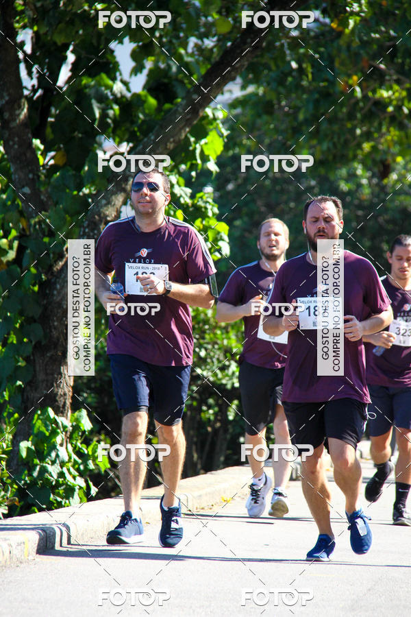 Buy your photos of the eventVelox Run on Fotop