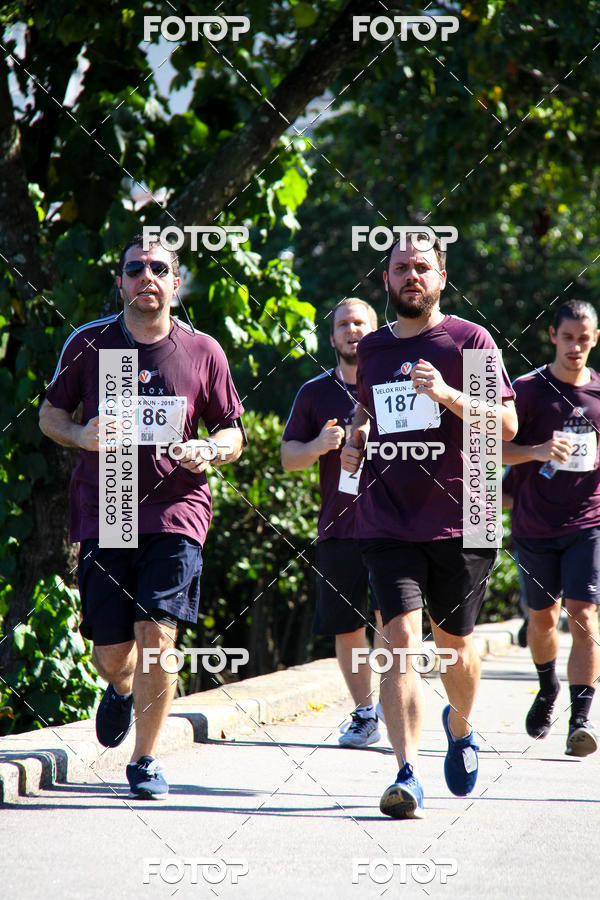 Buy your photos of the eventVelox Run on Fotop