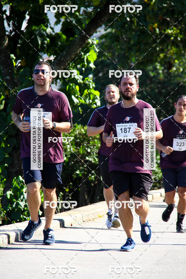 Buy your photos of the eventVelox Run on Fotop