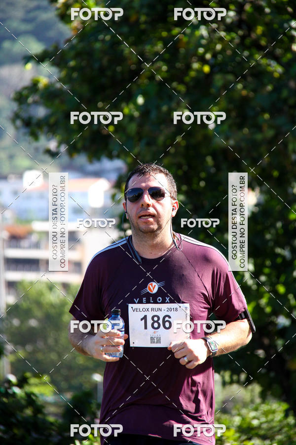 Buy your photos of the eventVelox Run on Fotop
