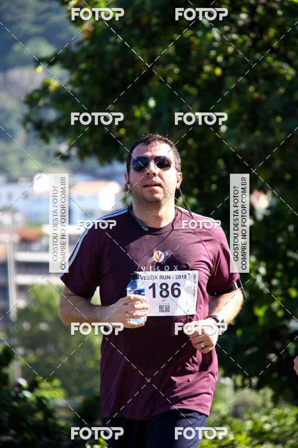 Buy your photos of the eventVelox Run on Fotop