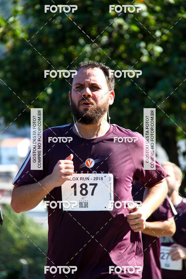 Buy your photos of the eventVelox Run on Fotop