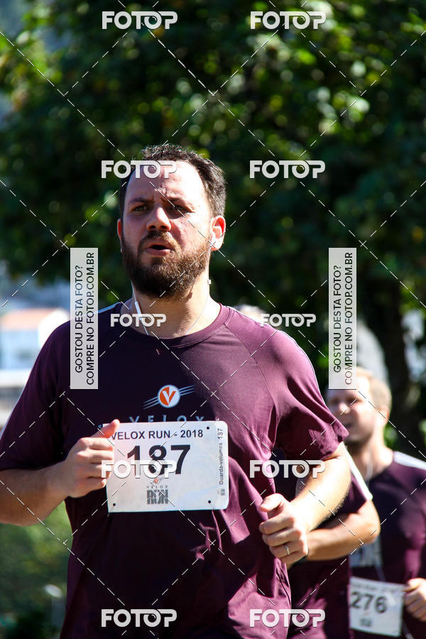 Buy your photos of the eventVelox Run on Fotop