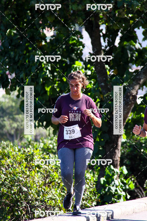 Buy your photos of the eventVelox Run on Fotop