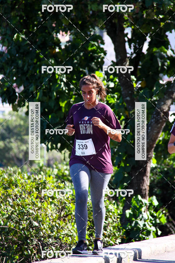 Buy your photos of the eventVelox Run on Fotop