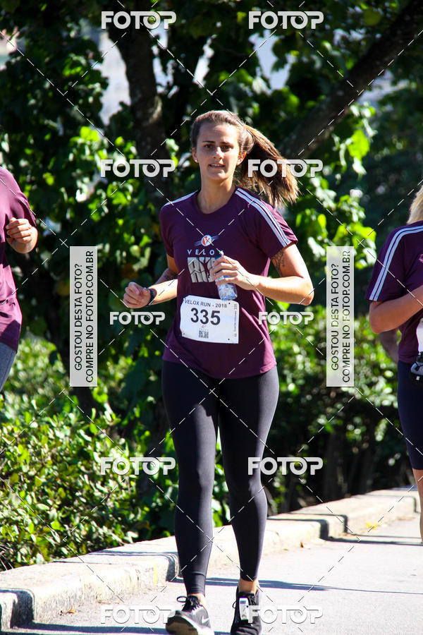 Buy your photos of the eventVelox Run on Fotop