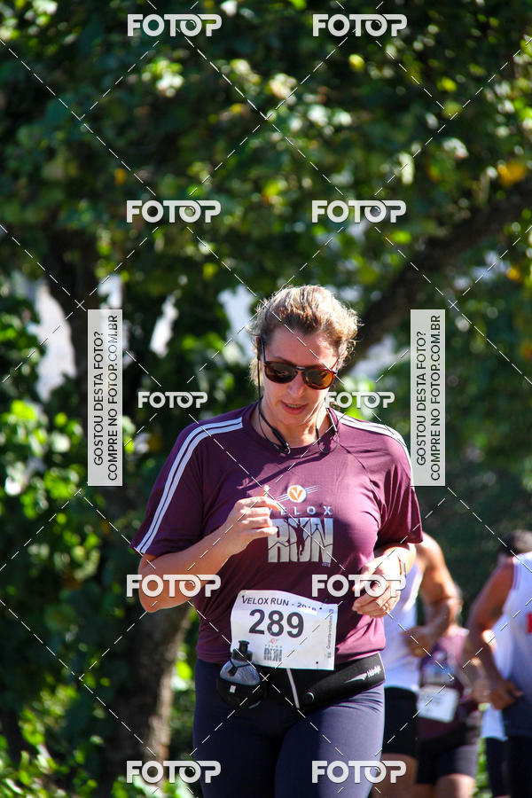 Buy your photos of the eventVelox Run on Fotop