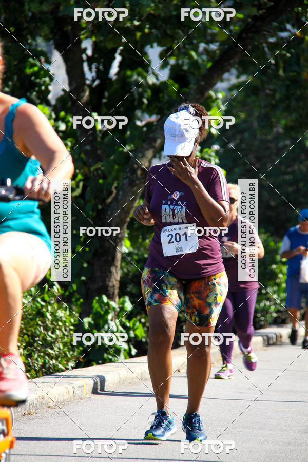 Buy your photos of the eventVelox Run on Fotop