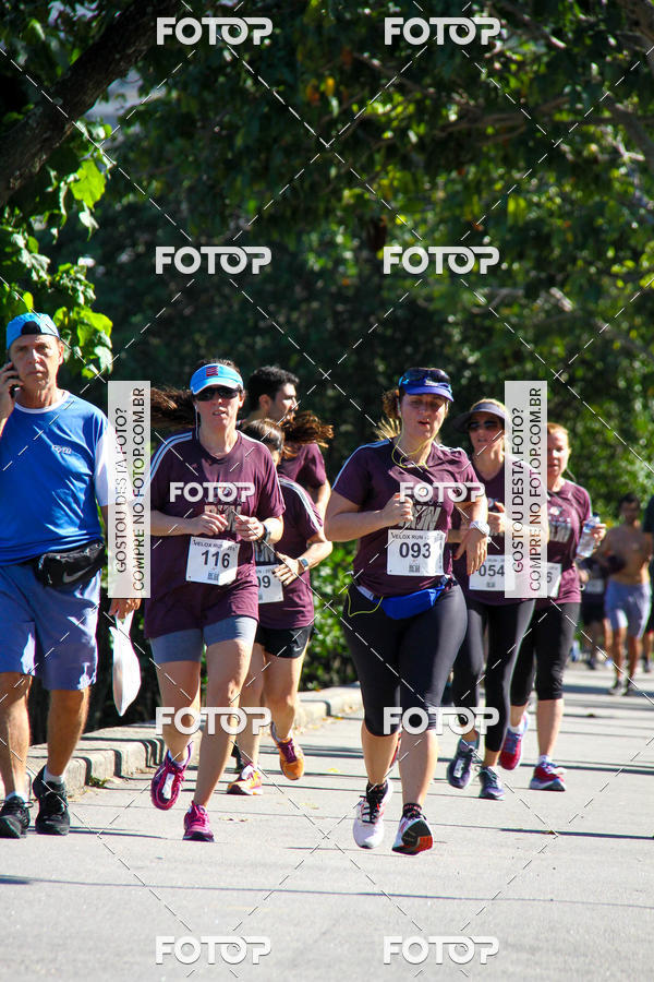 Buy your photos of the eventVelox Run on Fotop
