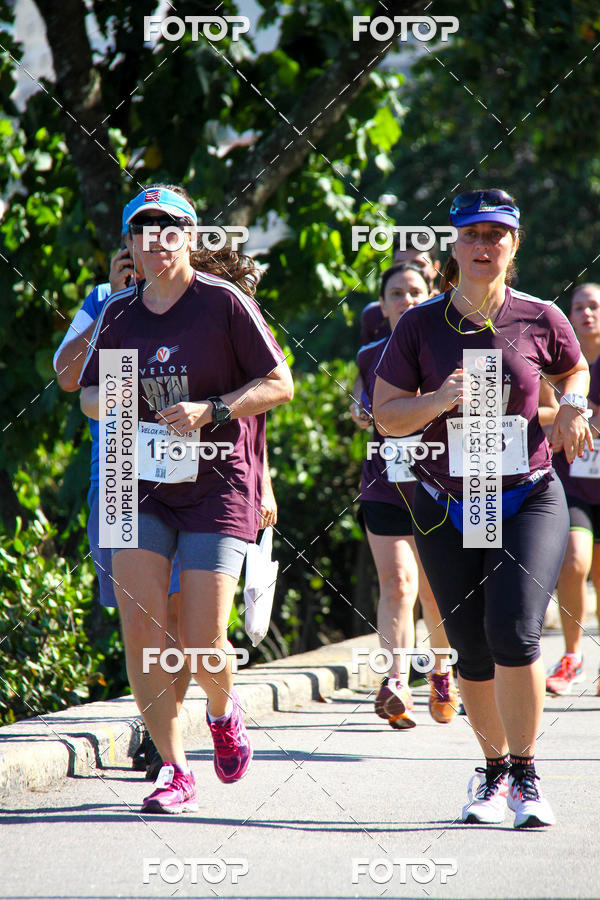 Buy your photos of the eventVelox Run on Fotop