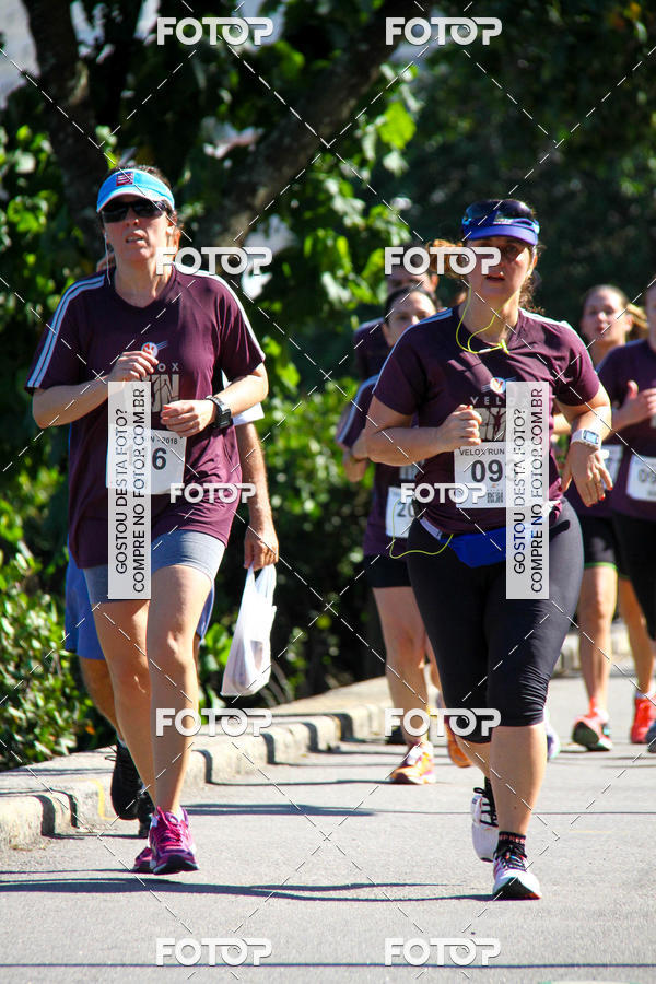 Buy your photos of the eventVelox Run on Fotop