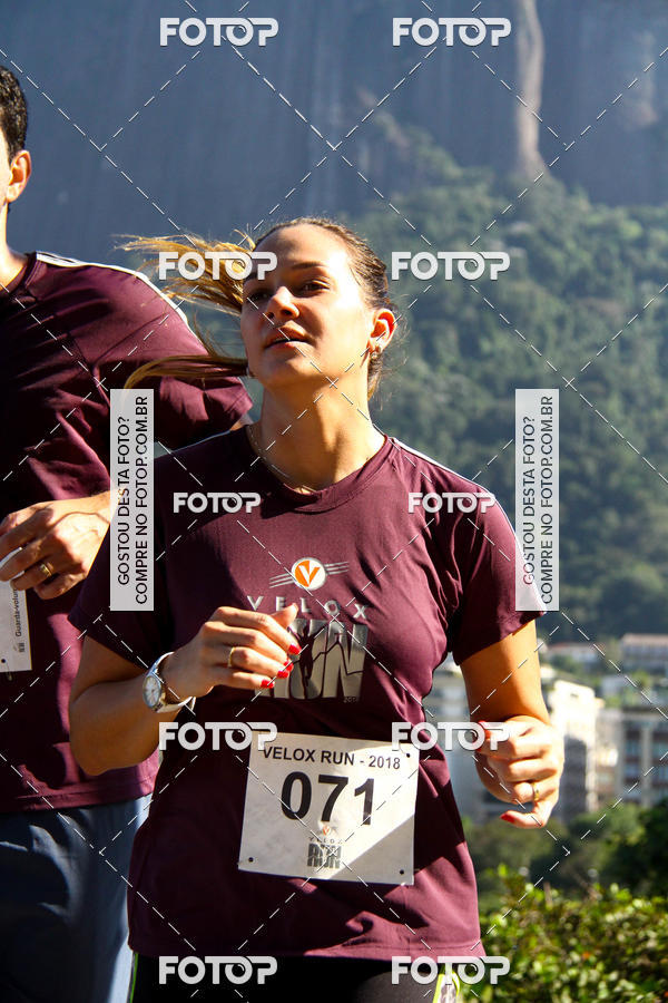 Buy your photos of the eventVelox Run on Fotop