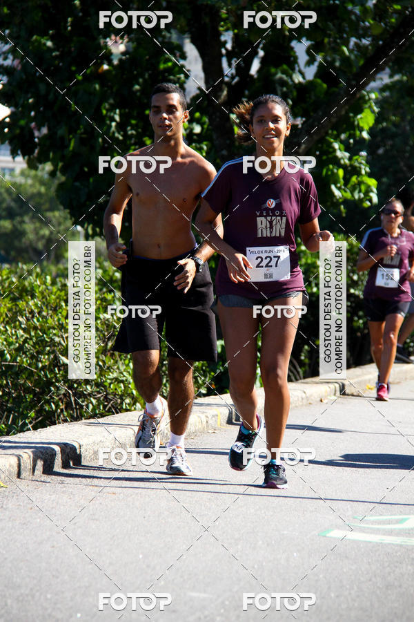 Buy your photos of the eventVelox Run on Fotop