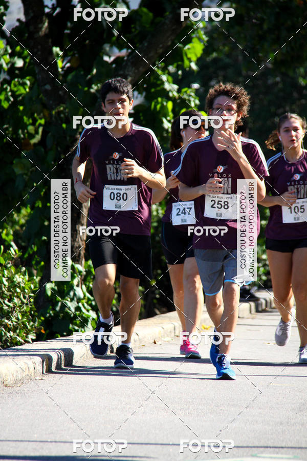Buy your photos of the eventVelox Run on Fotop