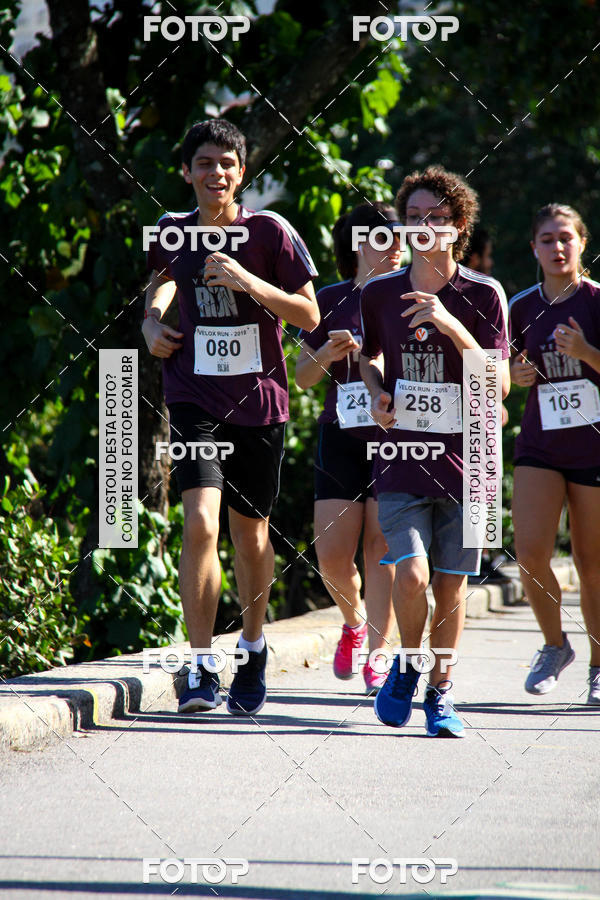 Buy your photos of the eventVelox Run on Fotop