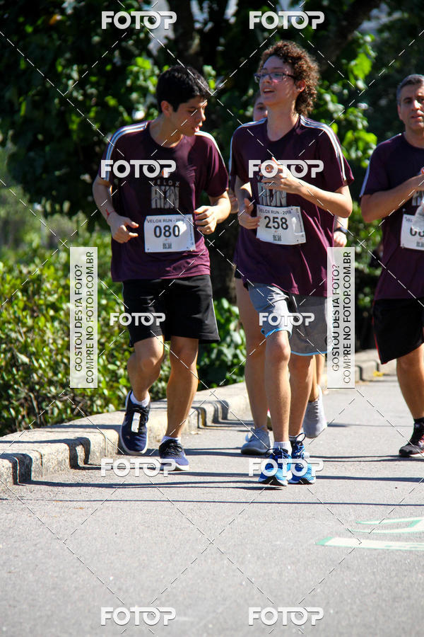 Buy your photos of the eventVelox Run on Fotop