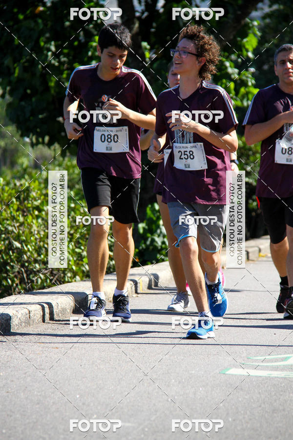 Buy your photos of the eventVelox Run on Fotop