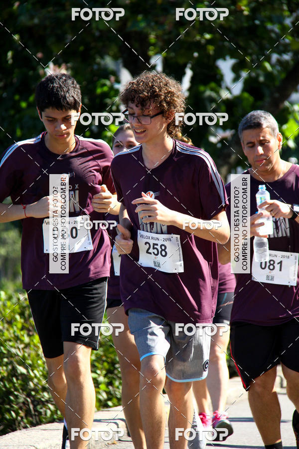 Buy your photos of the eventVelox Run on Fotop