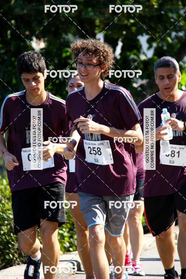 Buy your photos of the eventVelox Run on Fotop