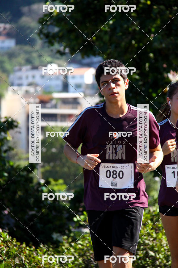 Buy your photos of the eventVelox Run on Fotop