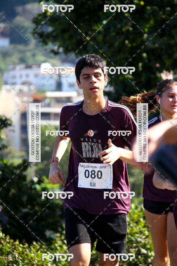 Buy your photos of the eventVelox Run on Fotop