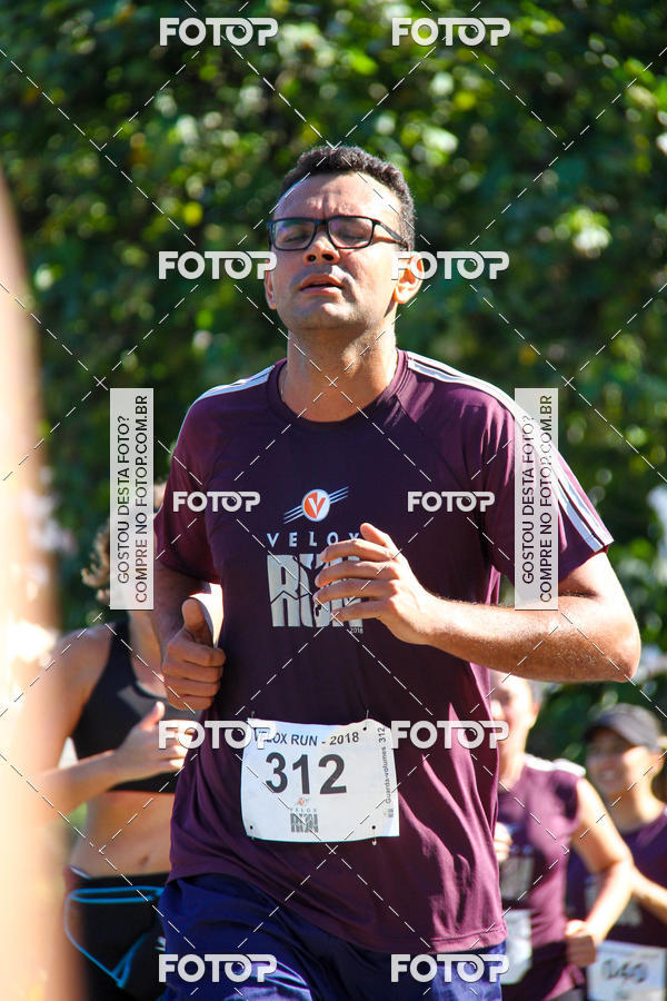Buy your photos of the eventVelox Run on Fotop