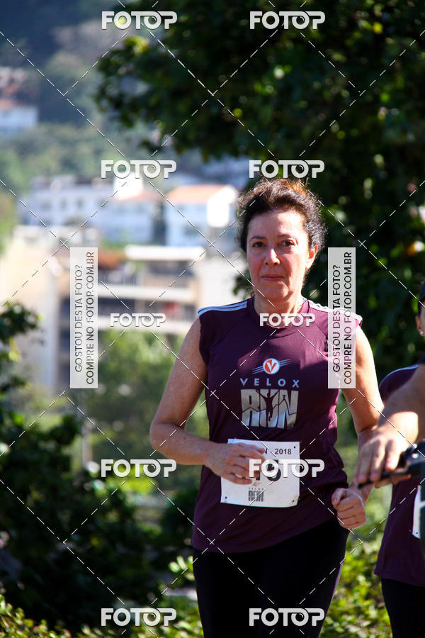 Buy your photos of the eventVelox Run on Fotop