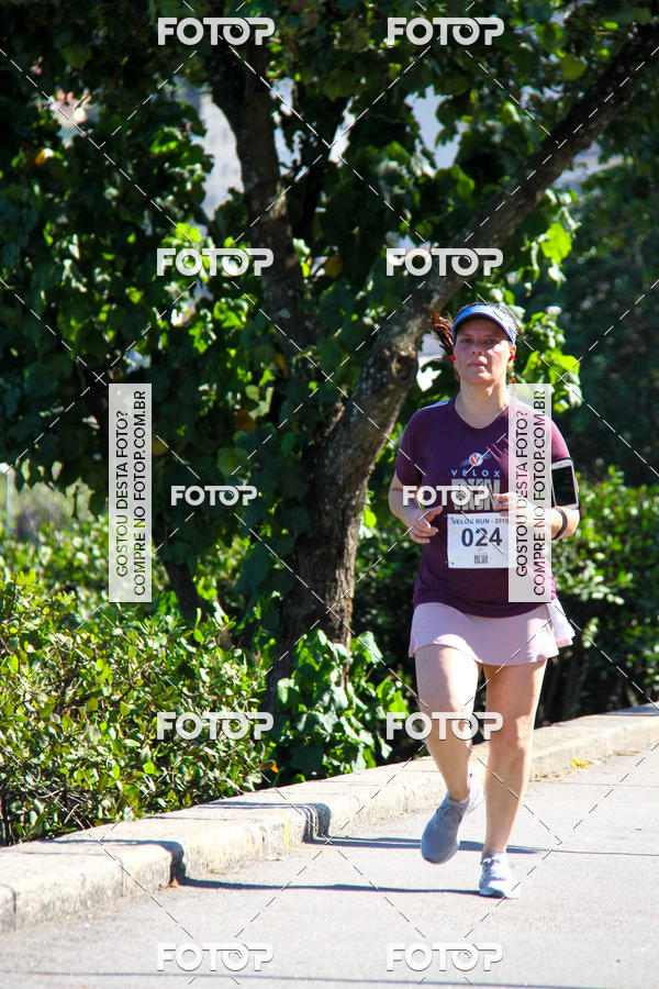 Buy your photos of the eventVelox Run on Fotop