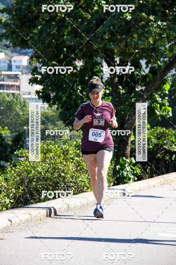 Buy your photos of the eventVelox Run on Fotop