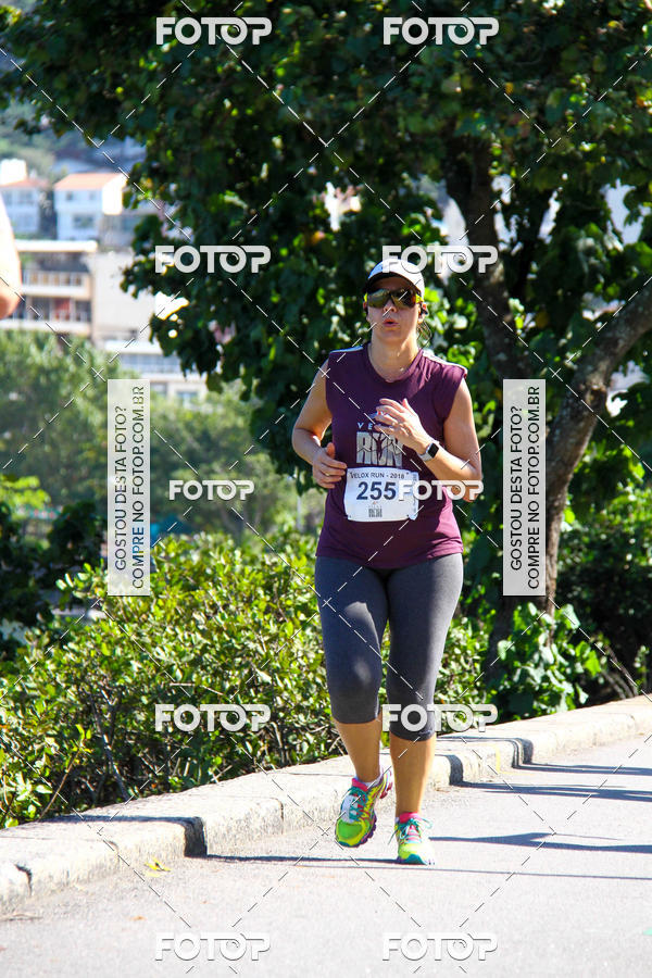 Buy your photos of the eventVelox Run on Fotop