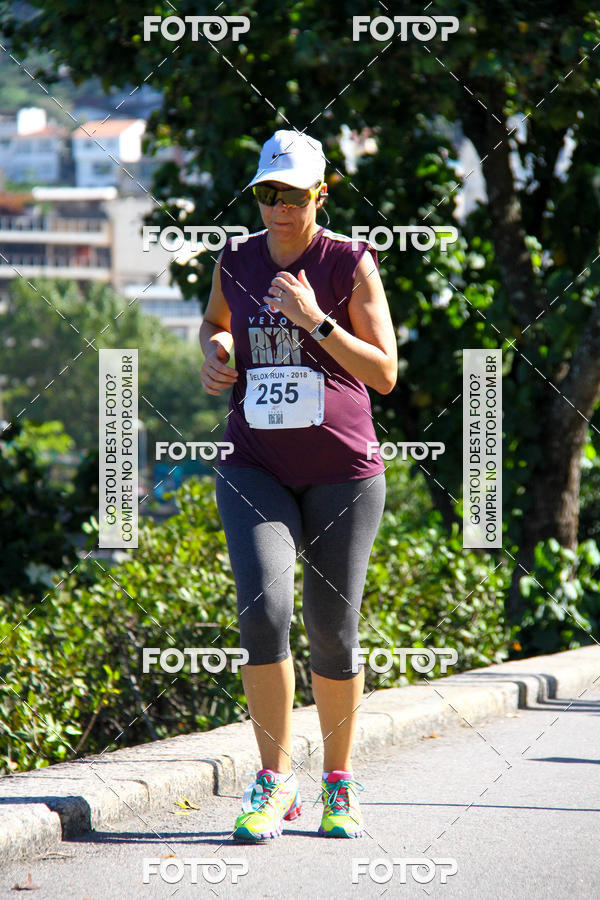 Buy your photos of the eventVelox Run on Fotop