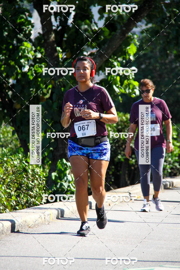 Buy your photos of the eventVelox Run on Fotop