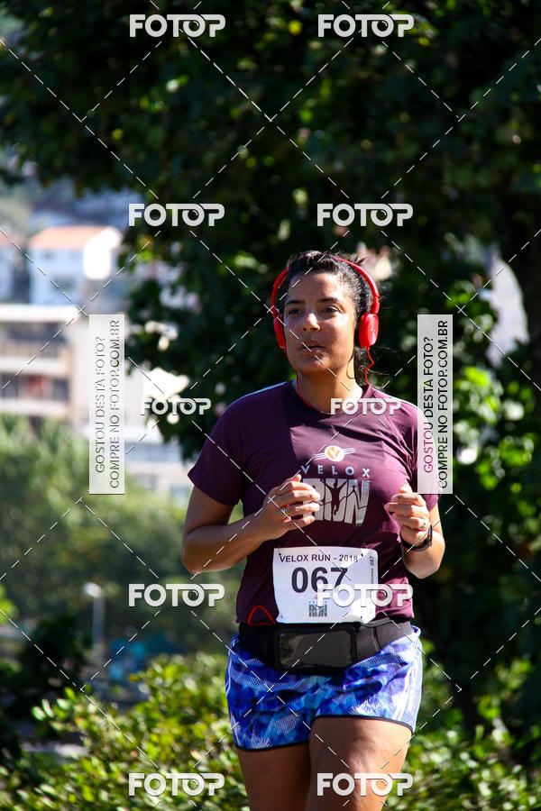 Buy your photos of the eventVelox Run on Fotop