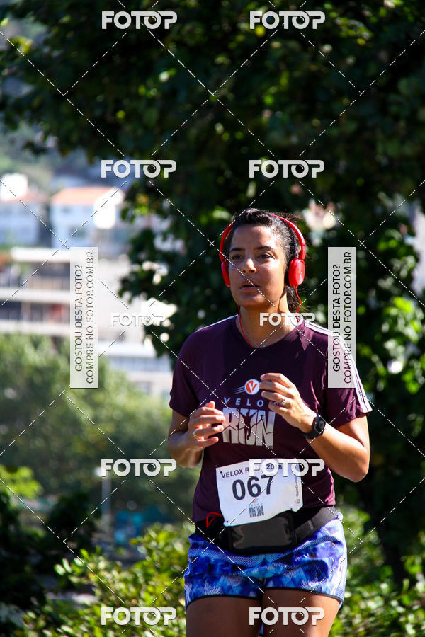 Buy your photos of the eventVelox Run on Fotop