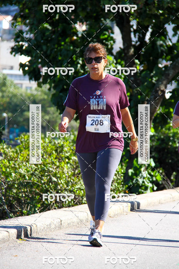 Buy your photos of the eventVelox Run on Fotop