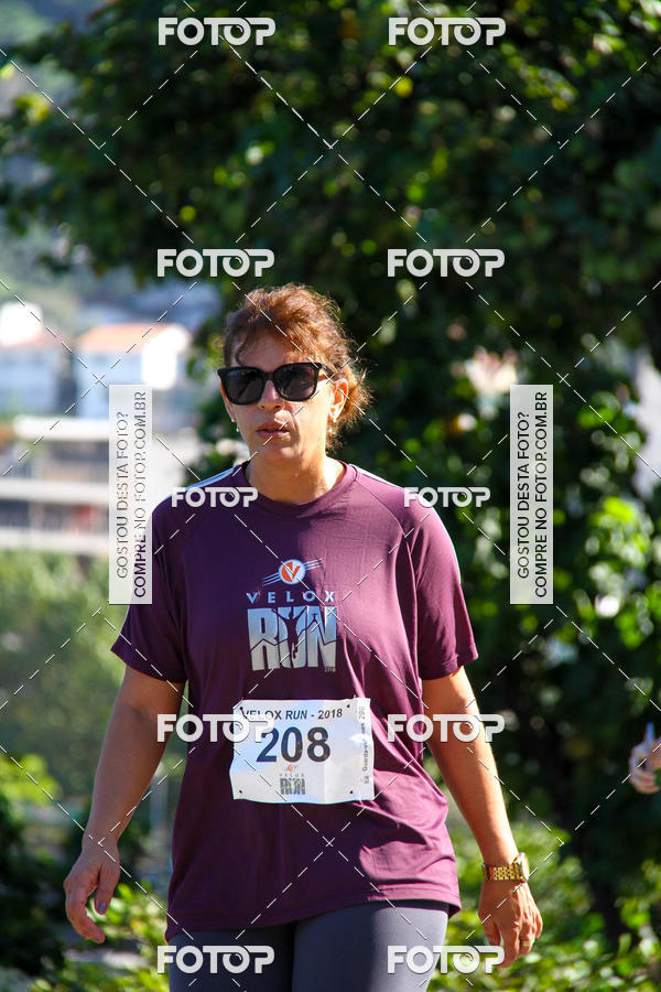 Buy your photos of the eventVelox Run on Fotop