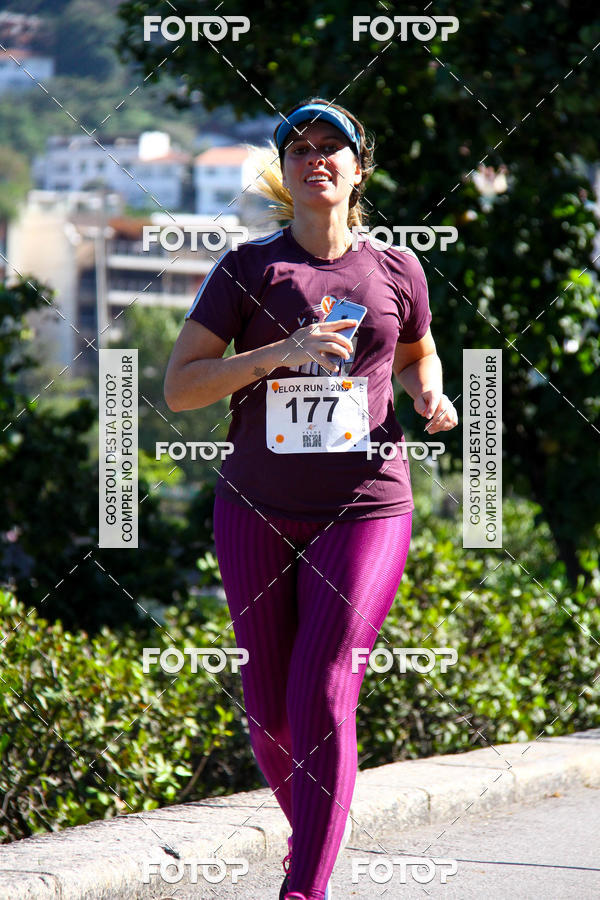 Buy your photos of the eventVelox Run on Fotop