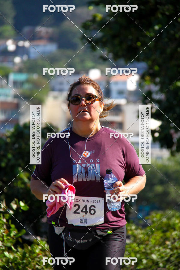 Buy your photos of the eventVelox Run on Fotop