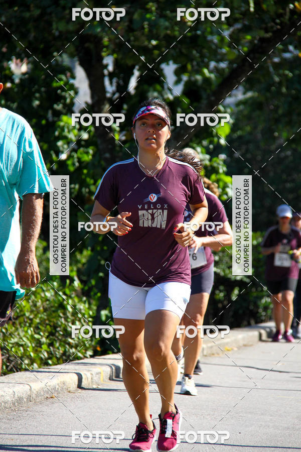 Buy your photos of the eventVelox Run on Fotop