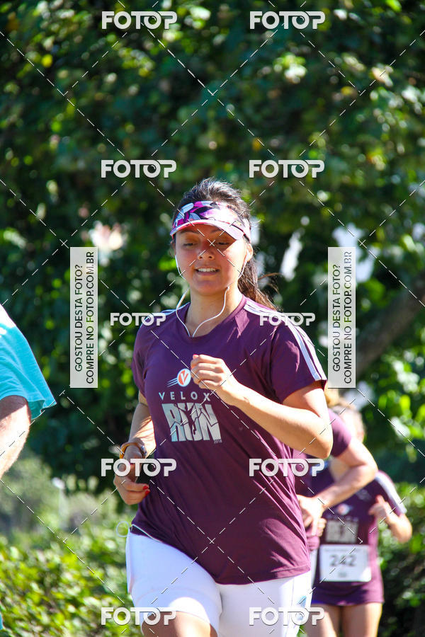 Buy your photos of the eventVelox Run on Fotop