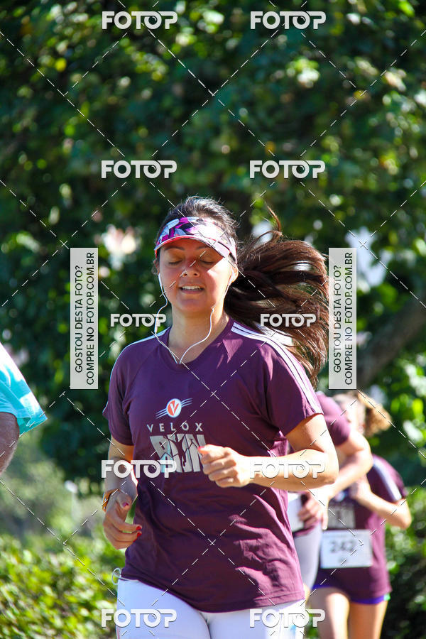 Buy your photos of the eventVelox Run on Fotop