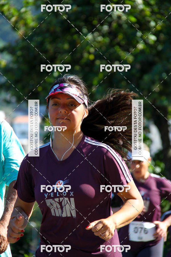 Buy your photos of the eventVelox Run on Fotop