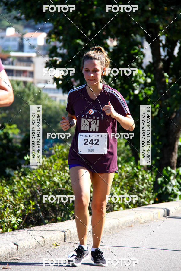 Buy your photos of the eventVelox Run on Fotop