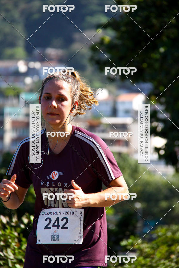 Buy your photos of the eventVelox Run on Fotop