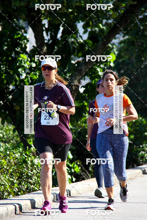 Buy your photos of the eventVelox Run on Fotop