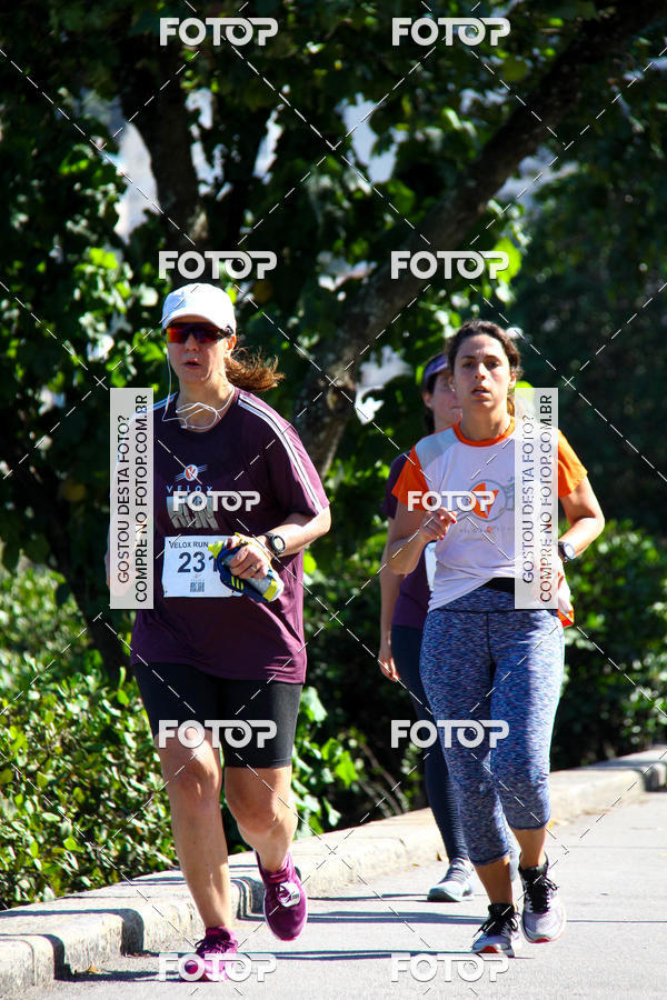 Buy your photos of the eventVelox Run on Fotop