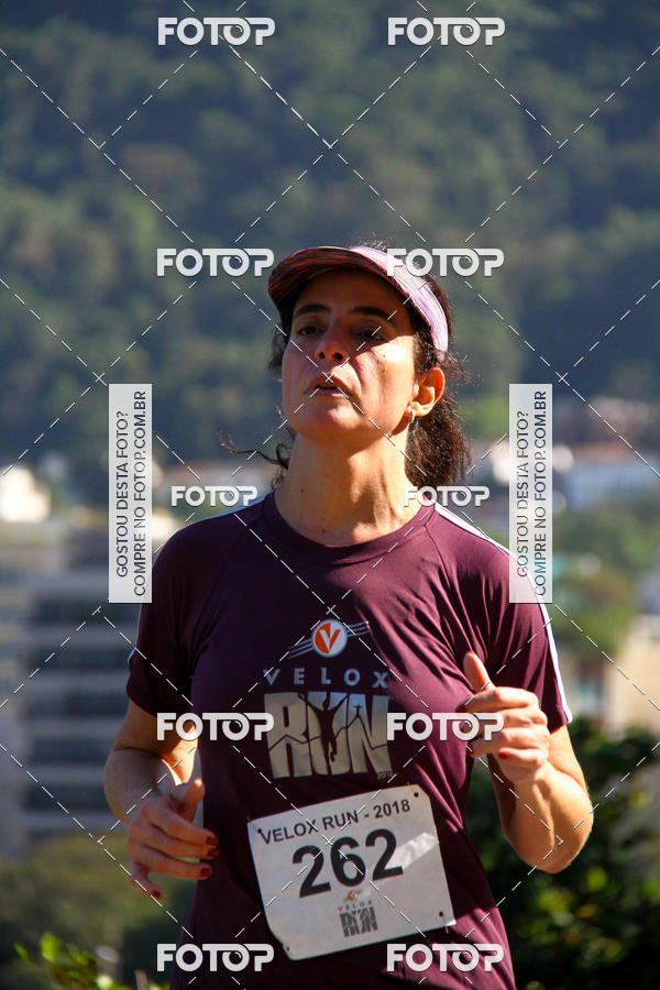 Buy your photos of the eventVelox Run on Fotop