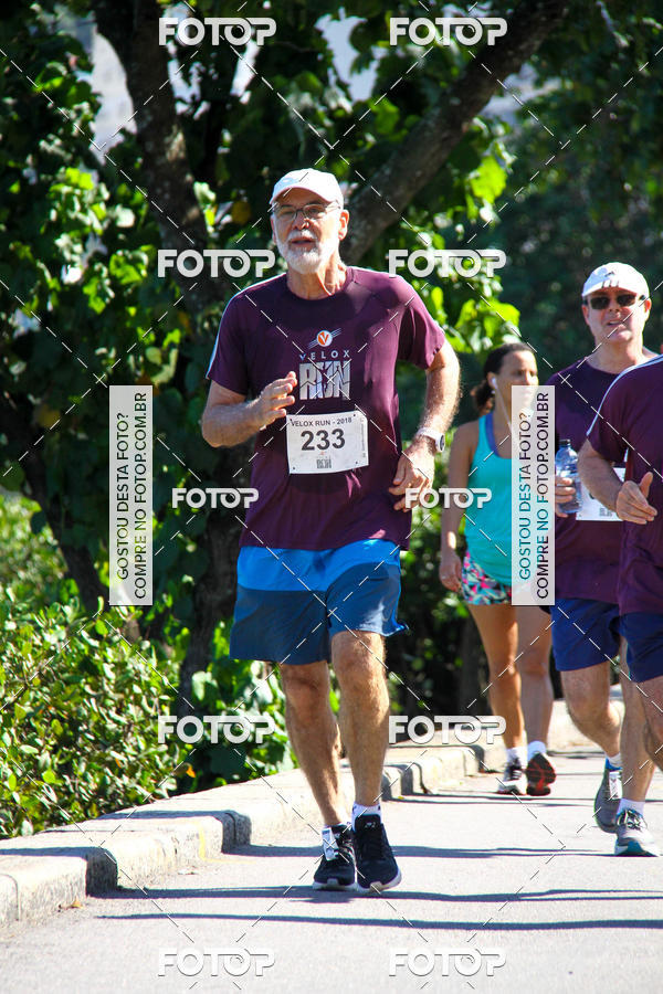 Buy your photos of the eventVelox Run on Fotop